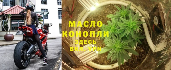 стафф Корсаков