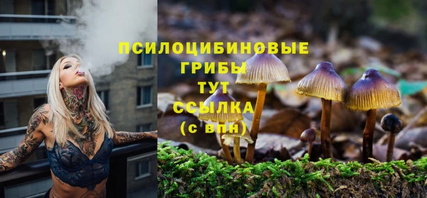 прущая мука Коряжма