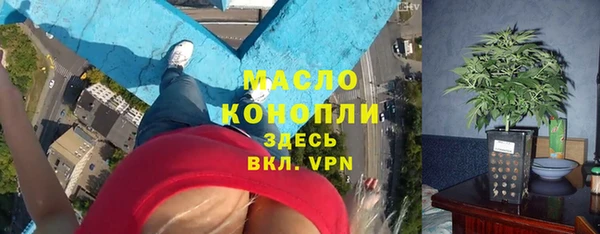 стафф Корсаков