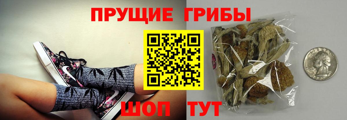 Галлюциногенные грибы Psilocybine cubensis Воткинск